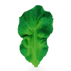kendall-alface-mordedor-frutasverduras-olicarol
