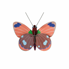 mini-borboleta-delias-studio-roof