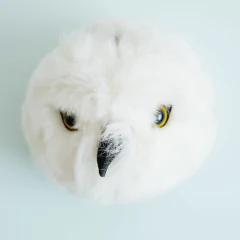 pelucia-coruja-chloe-wild-soft