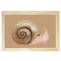 quadro-caramujo-tulio-mimoo-toys