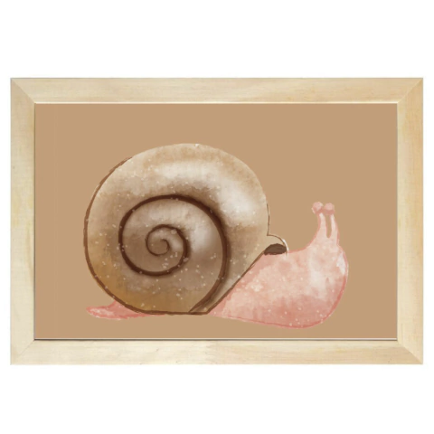 quadro-caramujo-tulio-mimoo-toys