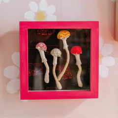 quadro-escultura-pink-com-cogumelos-de-pano-tacon