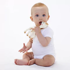 Sophie La Girafe® Vulli - comprar online