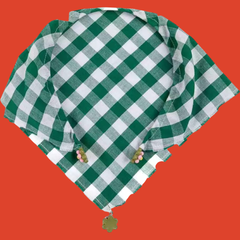 lenco-vichy-verde-collab-mari-magalhaes-boscheiro