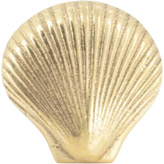 Puxador de latão em formato de concha Abby Shell da marca Doing Goods, ideal para decoração de móveis.