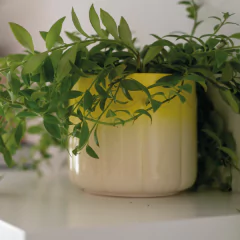 Vaso Cerâmica Degradê Vintage - Rice Dk (Unidade) na internet