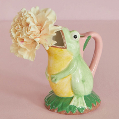 vaso-ceramica-sapo-rice-dk