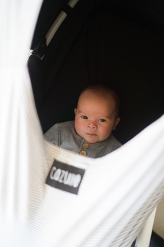 CAPA DE BEBE CONFORTO - LINHO - loja online
