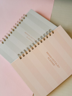 PLANNER GESTANTE ROSE - comprar online