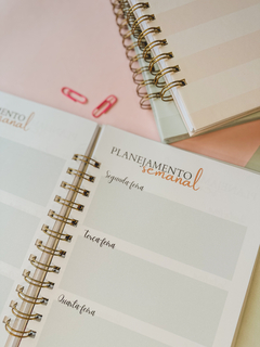 PLANNER GESTANTE AVELÃ - Cazullo