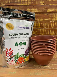 Kit Fortirriza 500 gr + 10 vasos cuia P