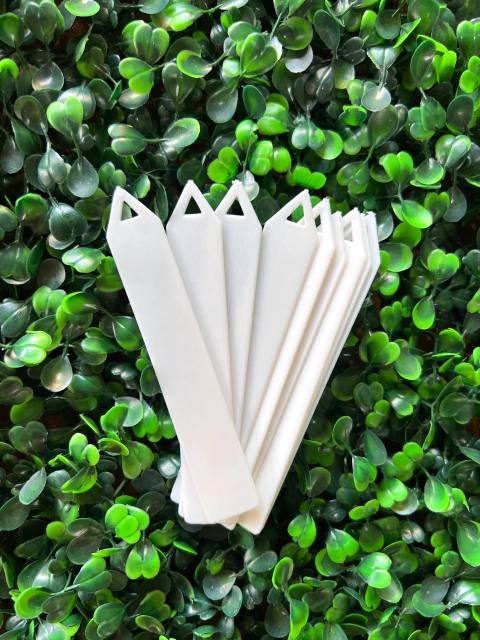 Plaquinhas de Identificação de Plantas - Branca - 10 Unidades: Organize Seu Jardim com Estilo