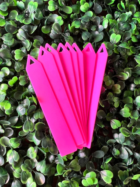 Plaquinhas de Identificação de Plantas - Rosa - 10 Unidades: Organize Seu Jardim com Estilo