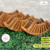 Cachepô Berço G (35x12x12 cm) - Madeira Peroba de Demolição - loja online