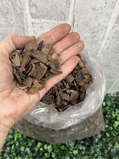 Cascas para Orquídeas "Profissional" - Pacote 2 Kg - comprar online