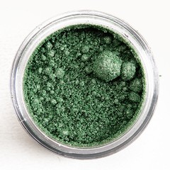 Foiled Pigment de Make up Geek en internet