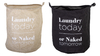 Cesto laundry today