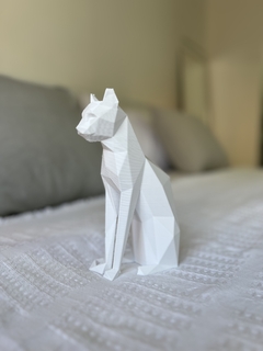 GATO BLANCO