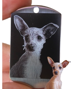 Collar Doble grabado Mascotas - comprar online