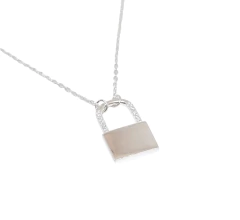 Collar era en internet