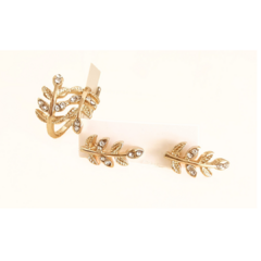 Aros Hiedra strass - ALADA