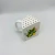Porta Queijo Bergamota com Filete Verde Cerâmica MasterChef 12x9,5cm