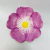 Prato de Sobremesa Cerâmica Flor Lilás 15x15cm na internet