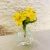 Vaso Decorativo de Vidro Transparente redondo 280ml