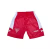 Short Los Andes Alternativo Mitre 2024