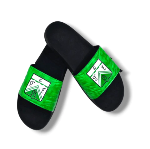 Ojotas Ferro Adulto Bagunza