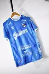 Camiseta Quilmes Alternativa Celeste Hummel 2024