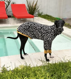 Remera flowers - comprar online