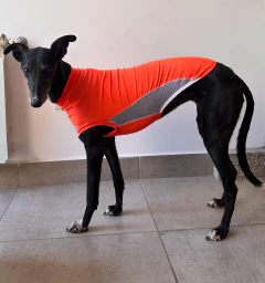 Remera uv Naranja - comprar online