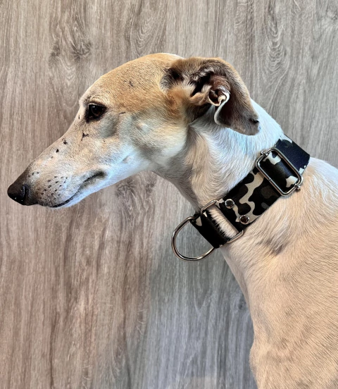 Collar MARTINGALE CAMUFLADO 40mm