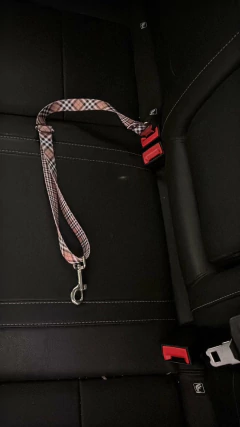 Cinturón Simple en internet