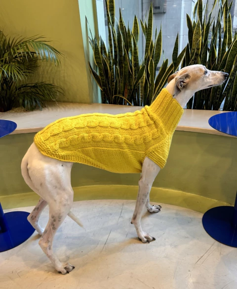 Suéter tejido amarillo M