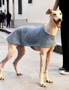 Capa denim destellos