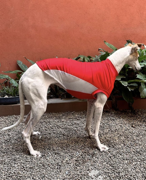 Remera UV Roja - comprar online