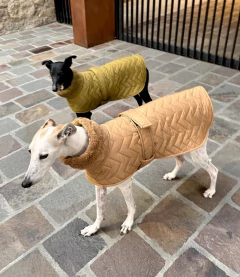 Capa Matelasse corderito verde / caramelo - comprar online