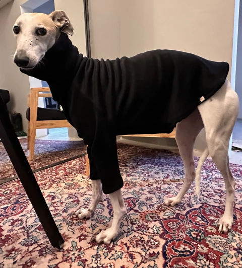 Buzo corderoy negro - comprar online