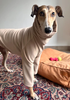 Buzo corderoy plush crudo