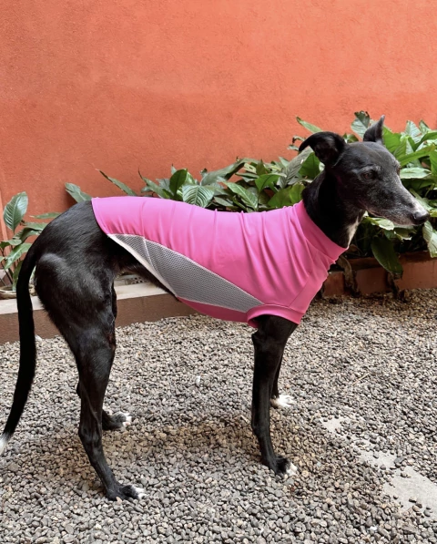 Remera UV Rosa - comprar online