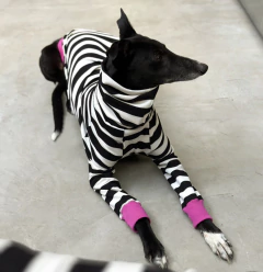 Remera Too cool negra en internet