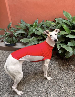 Remera UV Roja en internet