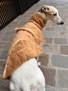 Capa Matelasse corderito verde / caramelo en internet