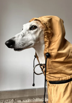Piloto trench de lluvia tostado en internet