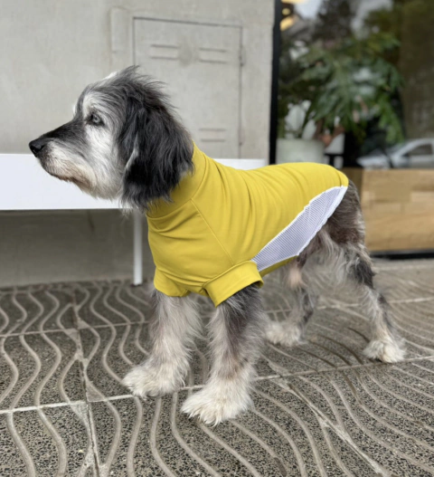 Remera UV mostaza - comprar online