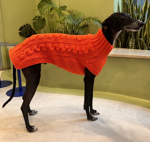 Suéter tejido naranja Coral L - comprar online