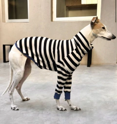 Remera Too cool negra - comprar online