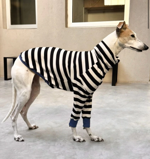 Remera Too cool negra - comprar online